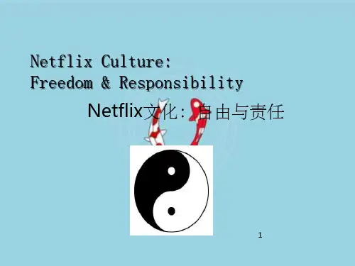 Netflix文化——自由与责任中文修订版