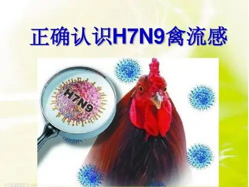正确认识H7N9禽流感1