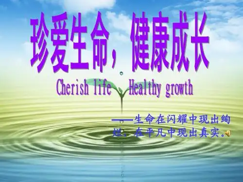 珍爱生命主题班会