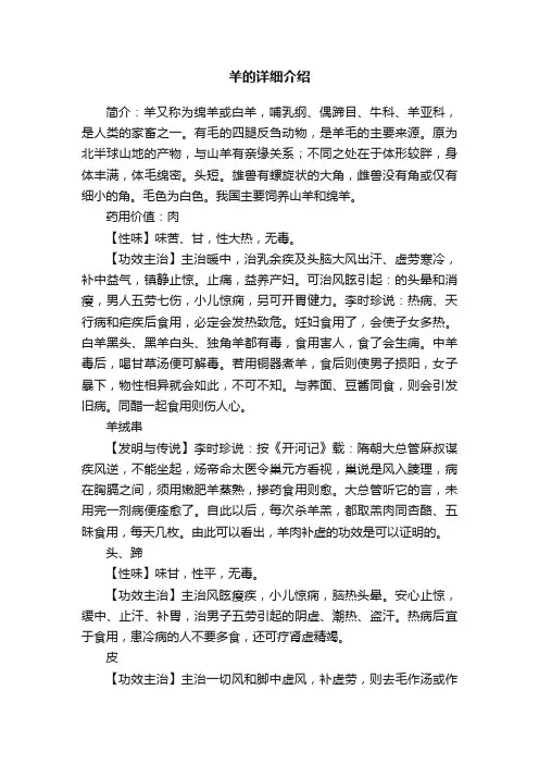 羊的详细介绍