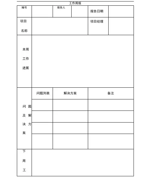 IT项目管理工作周报