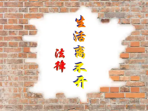 生活离不开法律讲义教材