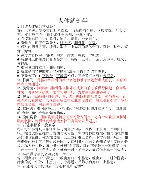 人体解剖学 2