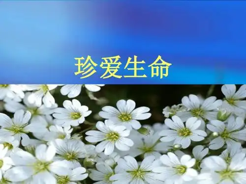 高中我与地坛