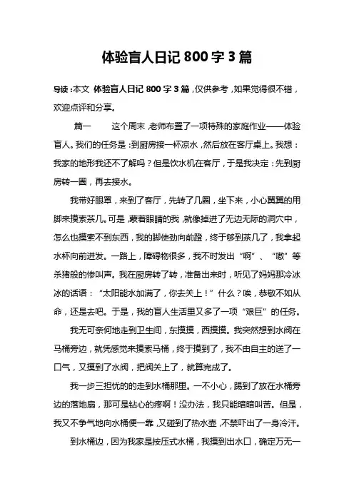 体验盲人日记800字3篇