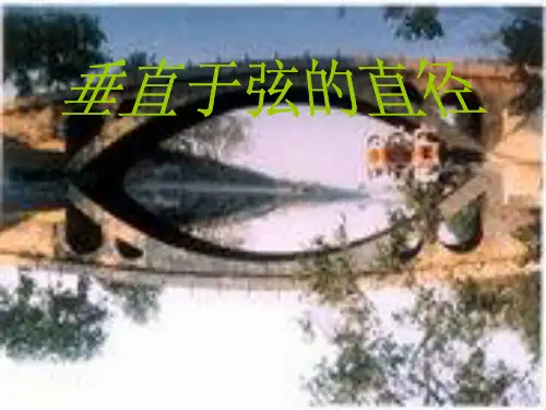 垂直于弦的直径精选课件PPT