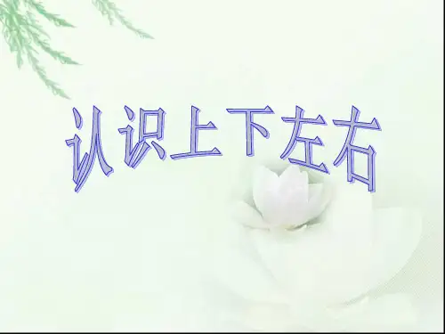 一年级数学上册《上、下、前、后》课件