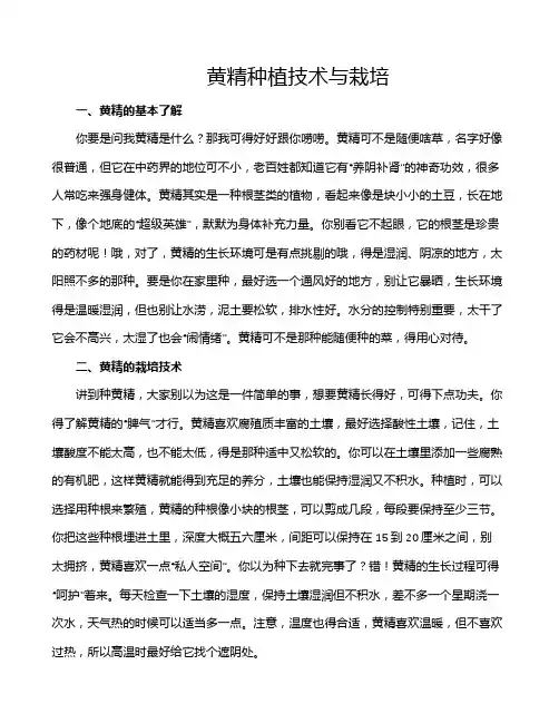 黄精种植技术与栽培