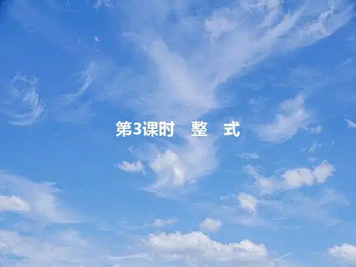 中考数学复习第一部分数与代数第三课时整式课件