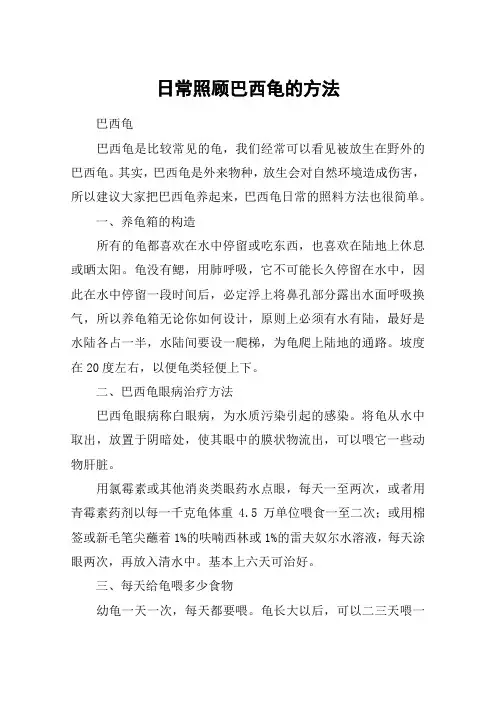 日常照顾巴西龟的方法
