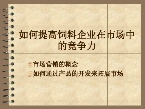 企业的竞争力.ppt