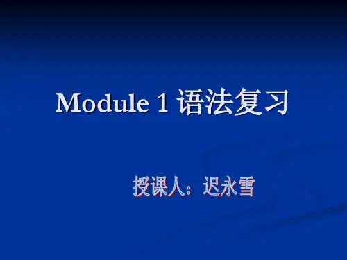 初三英语第一模块语法复习PPT课件