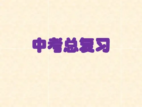 中考总复习第二讲整式的加减及幂的运算