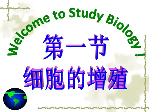 6.细胞增殖PPT下载