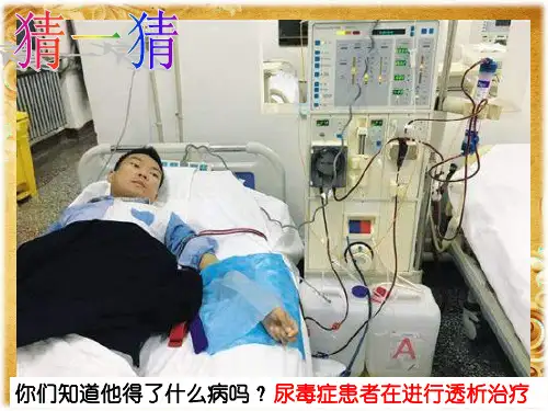 第十一章 第二节 人体废物的排除