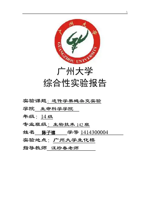 遗传学果蝇杂交实验报告