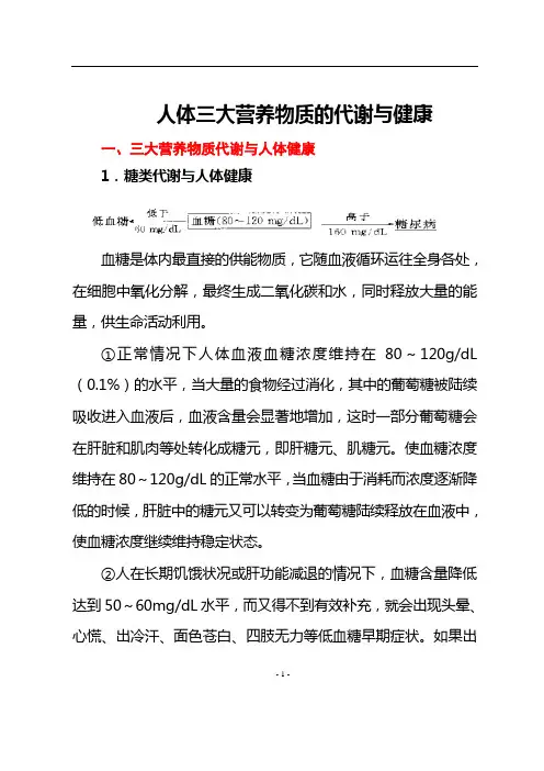 人体三大营养物质的代谢与健康