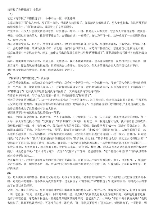 精彩极了和糟糕透了 小练笔