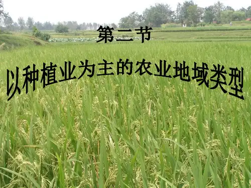 第二节以种植业为主的农业地域类型(讲)详解