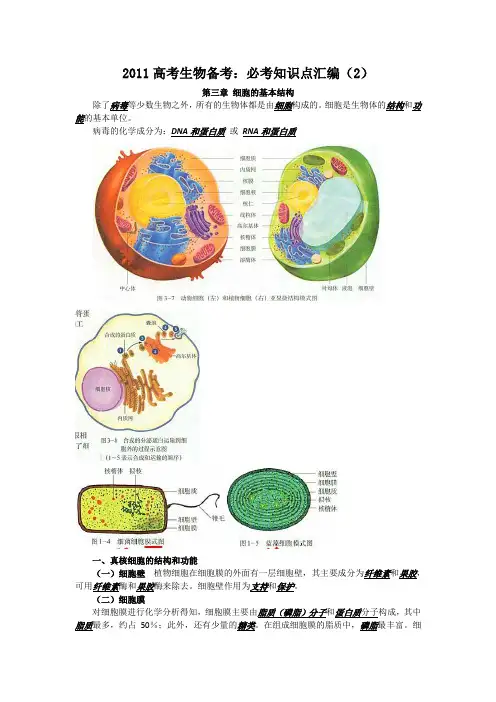 2011高考生物备考：必考知识点汇编(2)