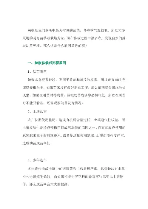 辣椒幼苗死棵是什么原因导致的？
