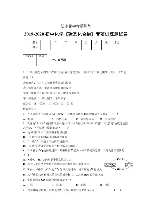 2019-2020学年初中化学《碳及化合物》专项训练模拟测试(含答案) (361)