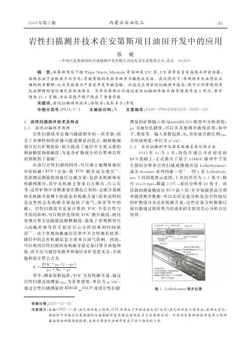 岩性扫描测井技术在安第斯项目油田开发中的应用