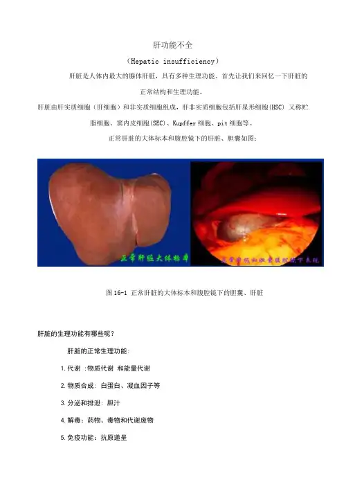 肝功能不全