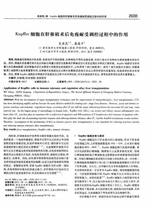 Kupffer细胞在肝移植术后免疫耐受调控过程中的作用