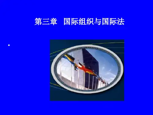 第三章国际组织与国际法