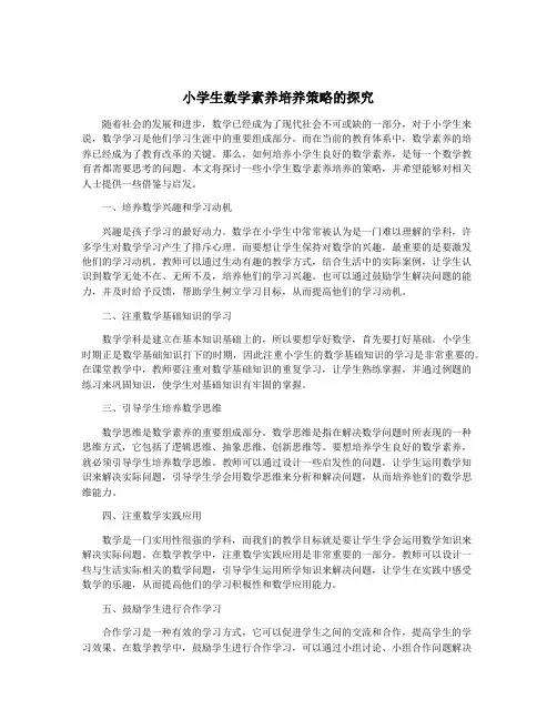 小学生数学素养培养策略的探究