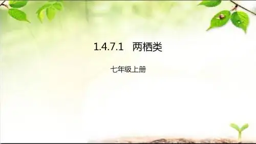 冀少版七年级上册第四章第7节《两栖动物和爬行动物》课件