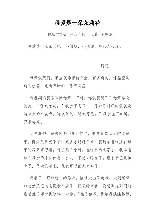 王明辉母爱是一朵茉莉花