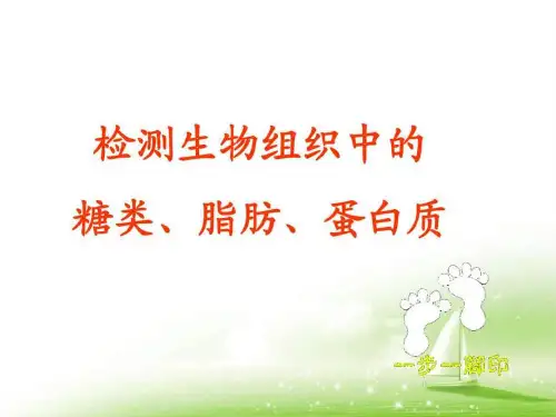 检测生物组织中的糖类脂肪和蛋白质图文