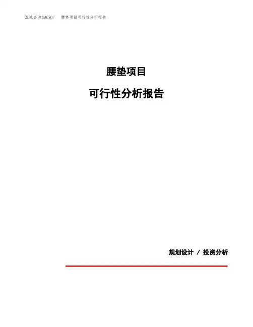 腰垫项目可行性分析报告(模板参考范文)
