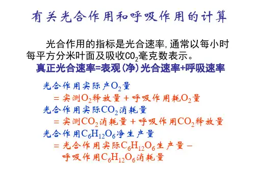 有关光合作用和呼吸作用的计算