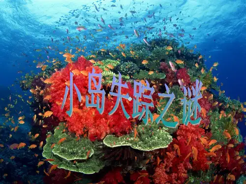 小岛失踪之谜