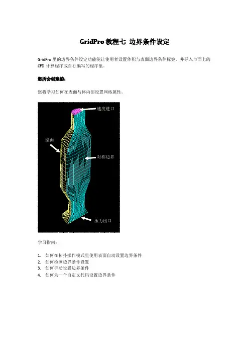 7-GridPro教程七——边界条件