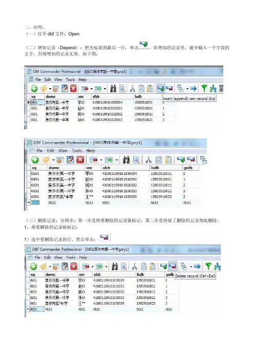 DBF3.1.0.52导入导出Excel格式