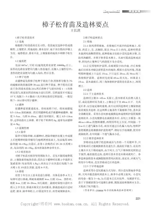 樟子松育苗及造林要点