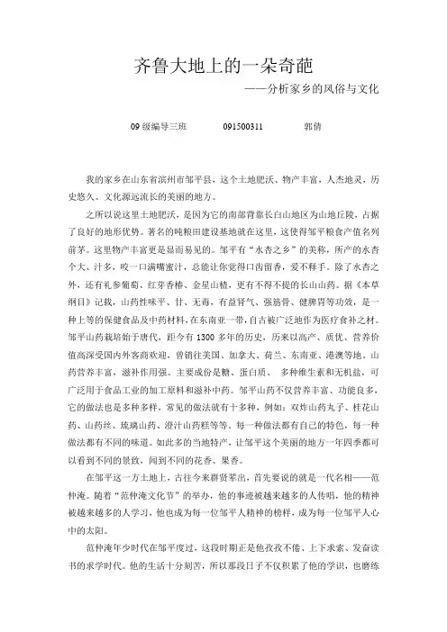 家乡文化 2