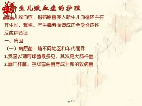 新生儿败血症的护理  ppt课件