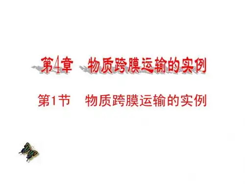 1-4-1+物质跨膜运输实例(共45张PPT)