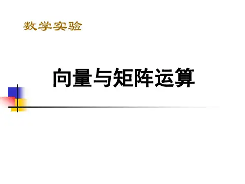 向量与矩阵的基本运算