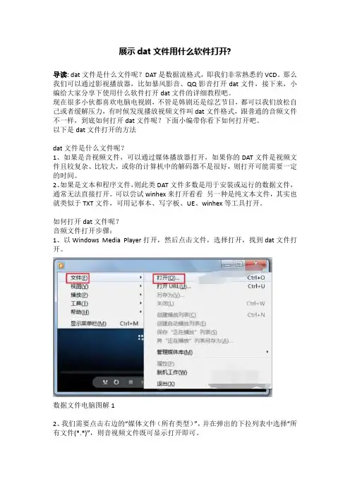 展示dat文件用什么软件打开-