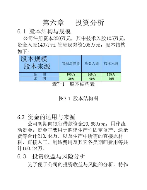 创业计划书财务分析与风险