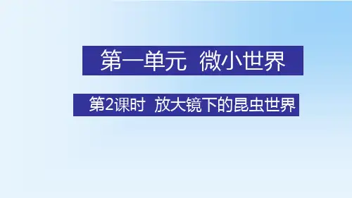 教科版六年级科学下册第一单元微小世界2放大镜下的昆虫世界教学课件