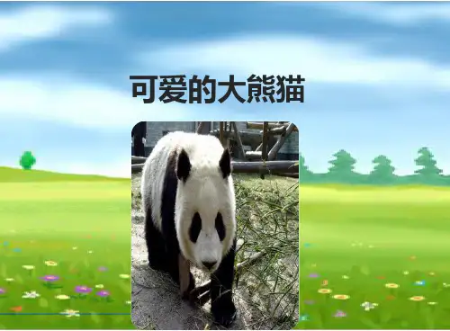 人教版小学三年级上册语文《可爱的大熊猫》课件
