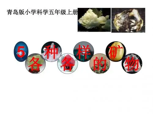 科学五年级上青岛版1.5各种各样的矿物1