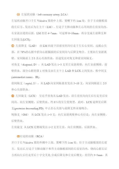 血管解剖